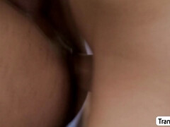 アナル, デカパイ, イマラチオ, レディボーイ, コキ, シーメール