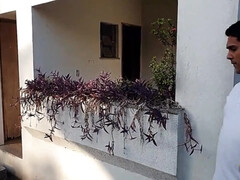 Enthousiasteling, Kont, Mooie dikke vrouwen, Diep in de keel, Lul, Dubbele penetratie, Openbaar, Kut duiken