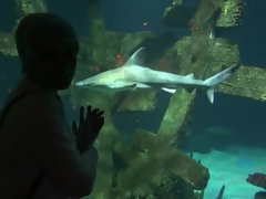 Amateur, Cuarto de baño, Penetracion con dedos, Bragas, Pov, Coño, Cabello corto, Tetas