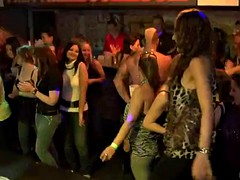 Lieveling, Groep, Hardcore, Feest