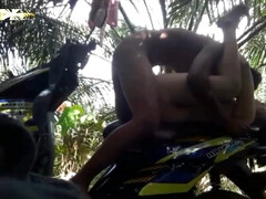 PASANGAN MESUM DI KEBUN SAWIT : BOKEP INDO VIRAL