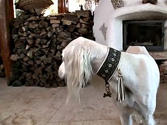 Секс без цензуры, Втроем