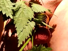 Садо мазо, Хд, Мастурбация, Зрелые, Милф, На природе, На публике, Подглядывание