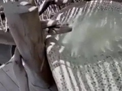 素人, デカチン, 黒人, 茶髪の, 中出し, 黒人, 異人種間, ラティーナ