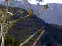 Анальный секс, Большой член, Семяизвержение, Член, Сперма на лице, Натуральные сиськи, Крошечные, Сиськи