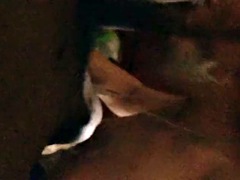 Enthousiasteling, Grote lul, Pijpbeurt, Zwart, Hardcore, Shemale, Slet, Zuigen