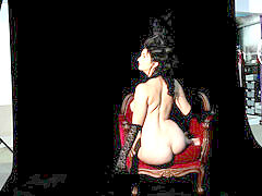 Bruinharig, Beroemdheid, Softcore pornografie