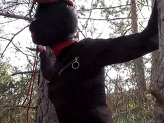 Tied To A Tree On A Sensual Outfit, Masked And Outdoor Deepthroating With No Mercy - Oral Sex