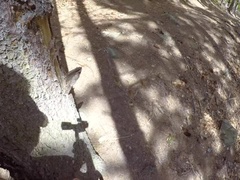 Anal, Cul, Blonde, Sucer une bite, Éjaculation interne, Pov, Public, Réalité