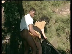 Verga grande, Mamada, Corridas, Corridas faciales, Hd, Clasico