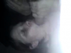 フェラチオ, ヨーロピアン, 手コキする, 熟年