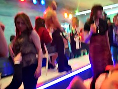tittyfucking party babe gets doggystyled