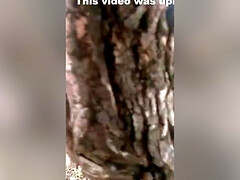 Arsch, Schönheit, Blasen, Vollbusig, Hd, Natürlich, Öffentlich, Titten