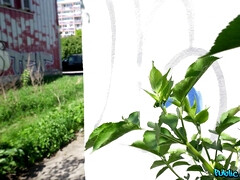 デカチン, 巨乳な, 顔射, 手コキする, ハードコア, お金, 公共, オッパイの