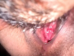 Asiatique, Petit ami, Hd, Indienne, Léchez, Masturbation, Chatte, Webcam