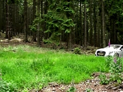 Grote kont, Blond, Pijpbeurt, Hondjeshouding, Duits, Hd, Buiten, Kut duiken