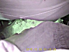 Amateur, Despelote, Masturbación, Voyeur