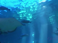 Victoria has a blast at the aquarium, and in the car after.