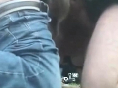 Strand, Pijpbeurt, Groepseks ejactulatie, Sperma shot, Hondjeshouding, Hardcore, Hd, Moeder die ik wil neuken