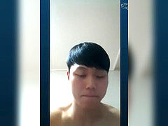 Koreaans