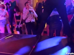 Kont, Zwart, Blond, Naakte man aangeklede vrouw, Lul, Orgie, Kousen, Swinger