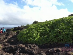 素人, 指いじり, 露出狂, 彼女, キス, 小柄, オマンコ, オッパイの