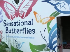 Amateur, Mamada, Novia, Jeans, Pov, Afeitado, Flaco, Fumando