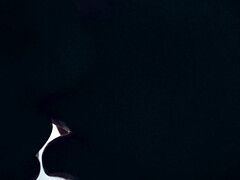 18 летние, Дилдо, Экстремальный секс, Хд, Лесбиянка, Страпон, Сиськи, Игрушки