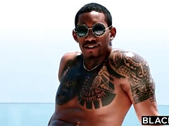 Verga grande, Mamada, Garganta profunda, Polla, Corridas faciales, Interracial, Lamidas, Orgía