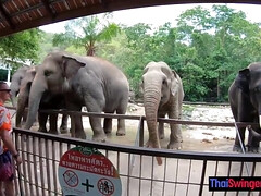 Blasen, Braunhaarige, Hardcore, Hd