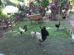 ブロンド, 彼女, オーガズム, アウトドア, 公共, ガリガリ, おもらし, オッパイの