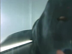 デカチン, フェラチオ, イく瞬間, Hd, ハンガリー人, ヌード