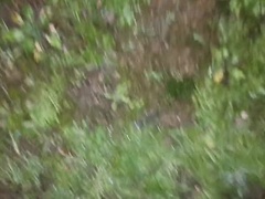 Anal, Culo grande, Corrida, Pies, Madres para coger, Orgasmo, Al aire libre, Coño