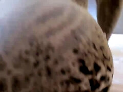 Amateur, Anal, Gros seins, Brunette brune, Rondelette, Médecin, Allemand, Fait maison