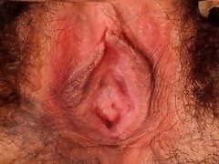 Любители, Волосатые, Соло