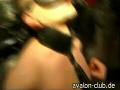 Rondborstig, Lul, Dominante vrouw, Fetisj, Voeten fetish, Duits, Rijpe lesbienne, Billekoek