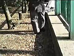 ゲイ, 手コキする