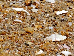 素人, ビーチ, カップル, 足, 毛深い, パンティ, 公共, 現実