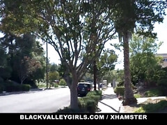 Besamung, Spermaladung, Hundestellung, Schwarz, Hd, Interrassisch, Muschi, Jungendliche (18+)