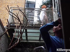 アナル, デカ尻, デカチン, フェラチオ, 巨乳な, 手コキする, 淫乱熟女, オッパイの