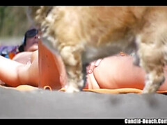 デカ尻, コンピレーション, 女, 淫乱熟女, 母, オマンコ, 一人, のぞき