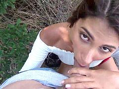 Verga grande, Latina