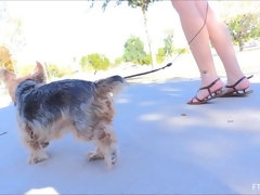 Nahaufnahme, Kleid, Extrem, Absätze, Masturbation, Solo, Spielzeuge, Unter dem rock