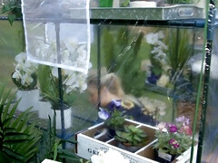 Kont, Grote kont, Grote mammen, Blond, Pijpbeurt, Rondborstig, Moeder die ik wil neuken, Nat