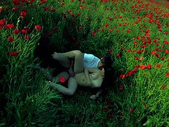 Morena, Al aire libre, Público