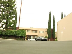 Cul, Gros seins, Sucer une bite, Brunette brune, Tir de sperme, Hd, Mère que j'aimerais baiser, Actrice du porno