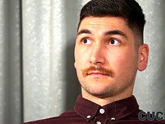 Grote kont, Zwart, Bruinharig, Bedriegen, Gek, Man die toekijkt, Zwart, Hd