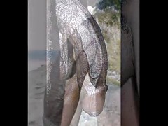 デカチン, 黒人, 黒人