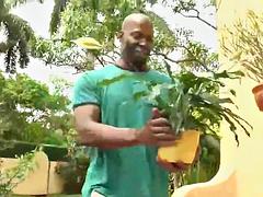 Anal, Asiático, Gorda, Interracial