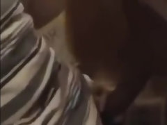 Enthousiasteling, Aziatisch, Pijpbeurt, Vingeren, Japaans